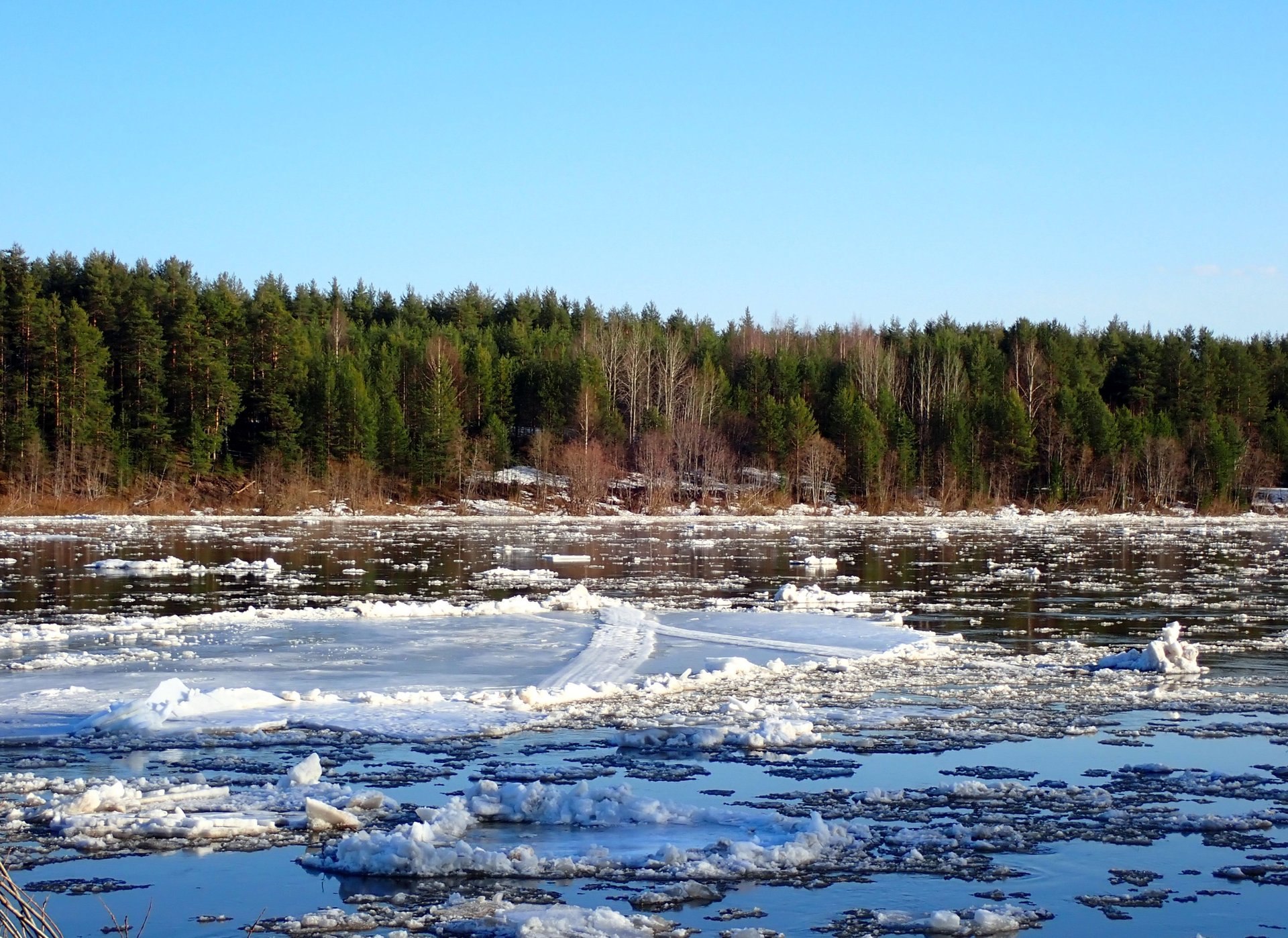 «Только в деревне можно пристально вглядеться в природу, научиться понимать её, увидеть по-настоящему зиму и лето, узнать все радости и трудности сельского житья-бытья…» «Только в деревне можно пристально вглядеться в природу, научиться понимать её, увидеть по-настоящему зиму и лето, узнать все радости и трудности сельского житья-бытья…»