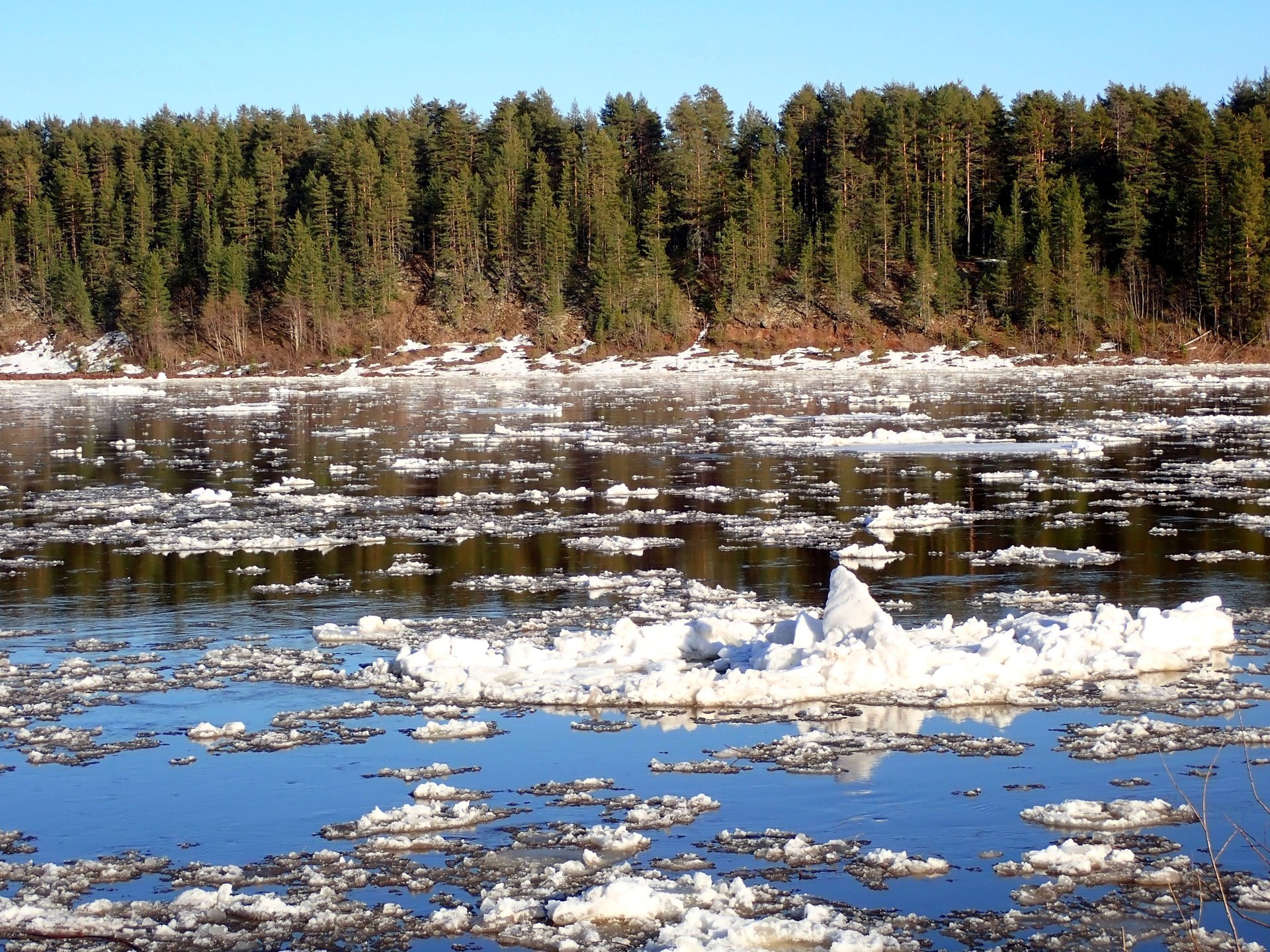 «Только в деревне можно пристально вглядеться в природу, научиться понимать её, увидеть по-настоящему зиму и лето, узнать все радости и трудности сельского житья-бытья…»