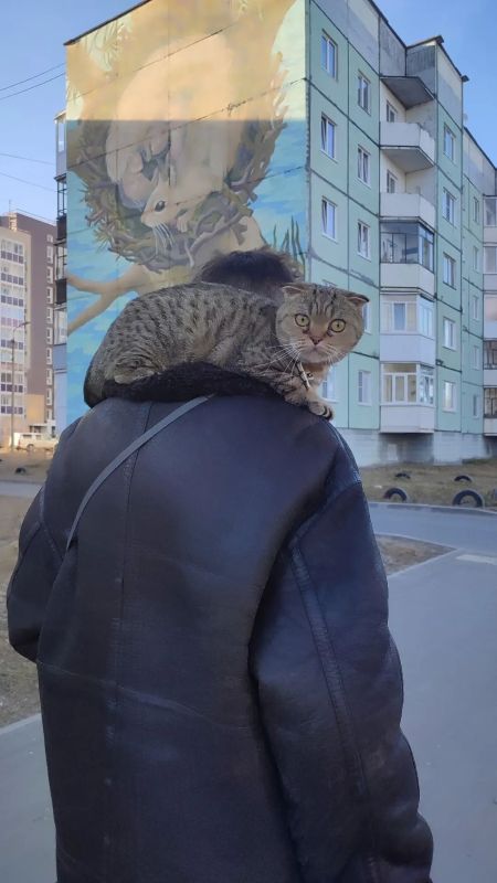 �� ����� ������� ������ � ������ �� ���