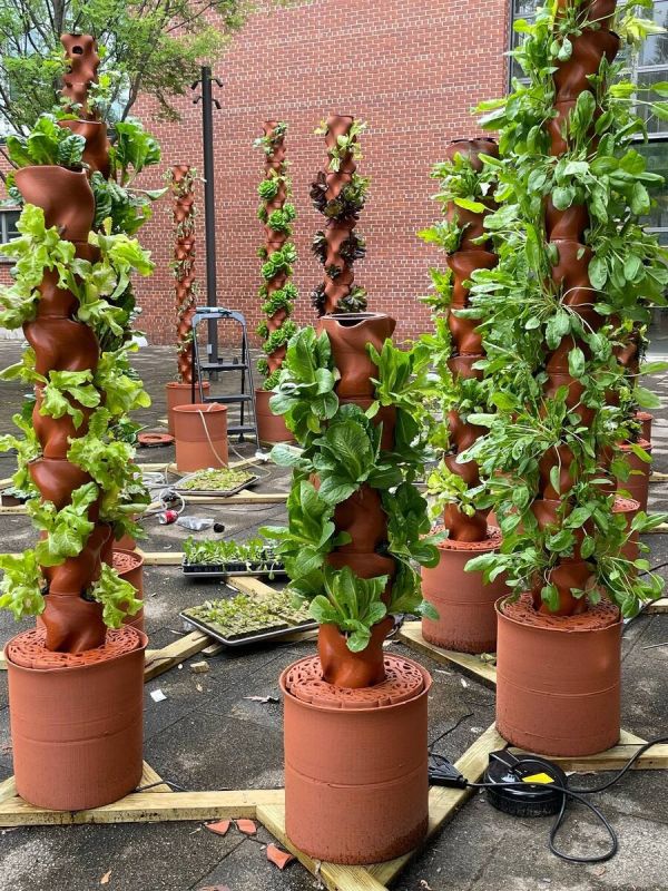 �����������: ������� ��������� � ���������� ��� ������ ����