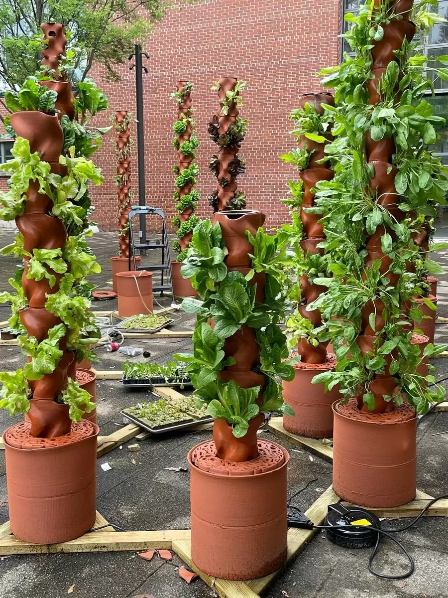 Гидропоника: симбиоз искусства и технологий для вашего дома