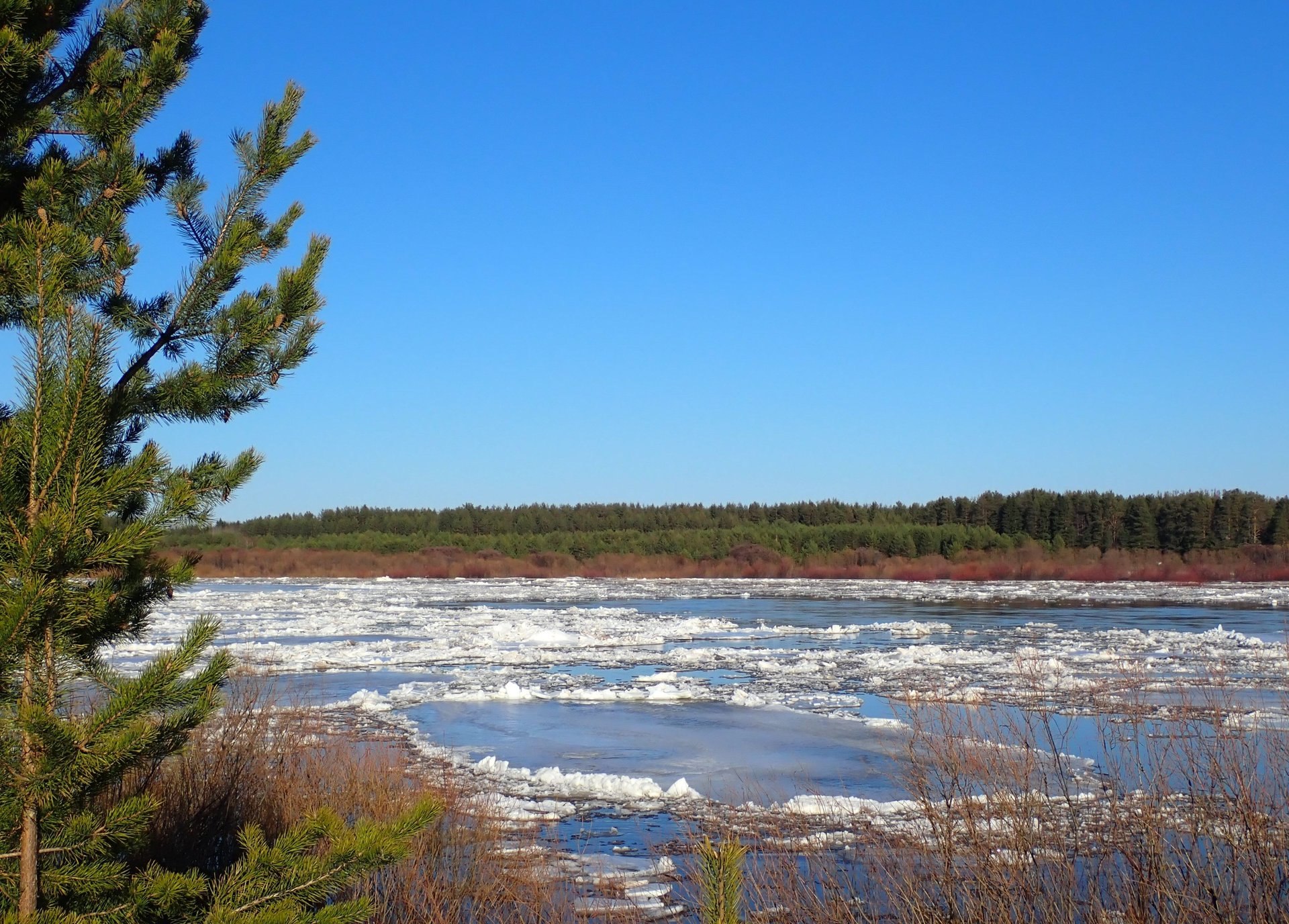 «Только в деревне можно пристально вглядеться в природу, научиться понимать её, увидеть по-настоящему зиму и лето, узнать все радости и трудности сельского житья-бытья…» «Только в деревне можно пристально вглядеться в природу, научиться понимать её, увидеть по-настоящему зиму и лето, узнать все радости и трудности сельского житья-бытья…»
