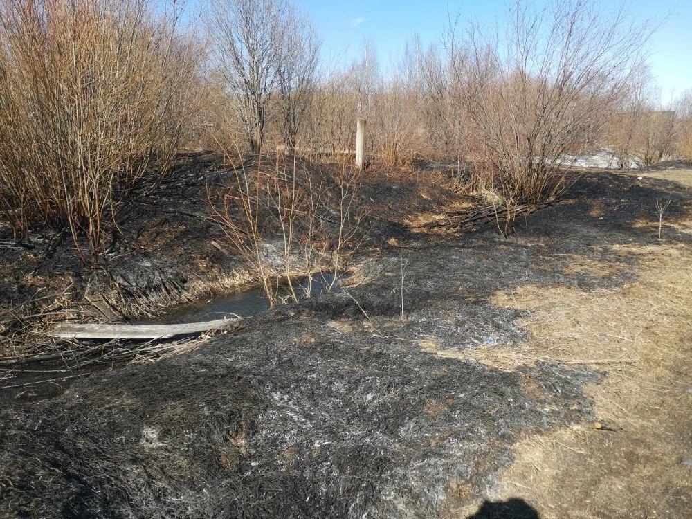 На территории Няндомского округа зарегистрированы первые пожары сухой травы в 2026 году На территории Няндомского округа зарегистрированы первые пожары сухой травы в 2026 году