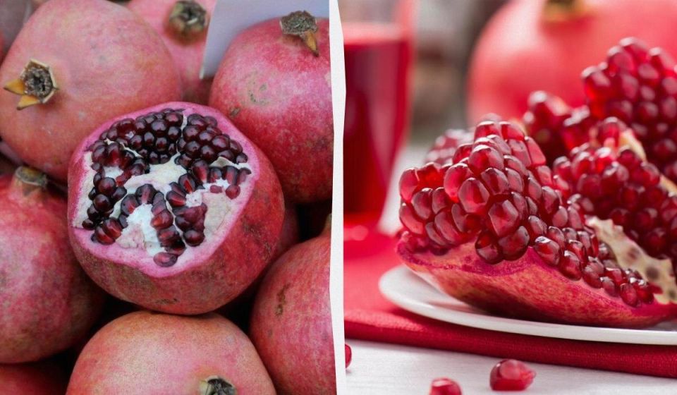 ��� ��������� ������� ������� � �������: ������ ������� ���������