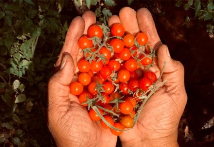 ����� �������: �������� ����� � ������� �����������