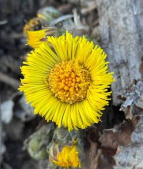 ������ ����, ������!. ������� �������, 16 ������