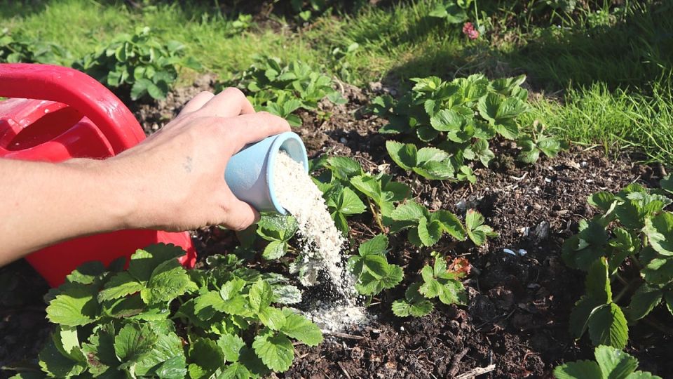 ���� �� ��������� ������: ������� ��� �������� ������ �������� ����