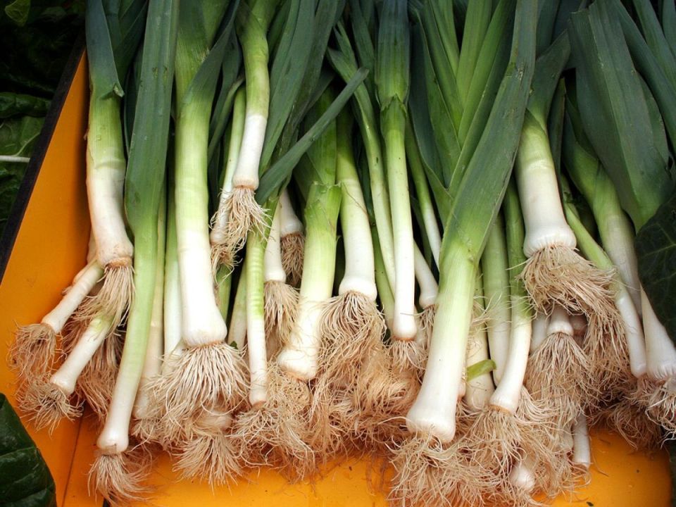 ����� ����� ����: ��� ������� ������ ��� ��������� �������