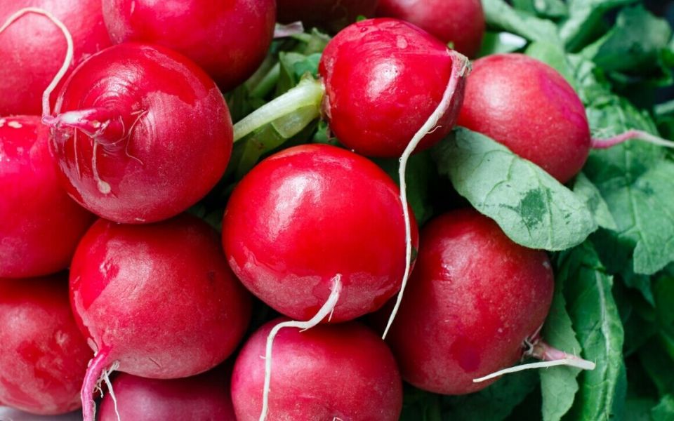 ������� ������: ��� ��������� ��������� ����� �� ����� �������