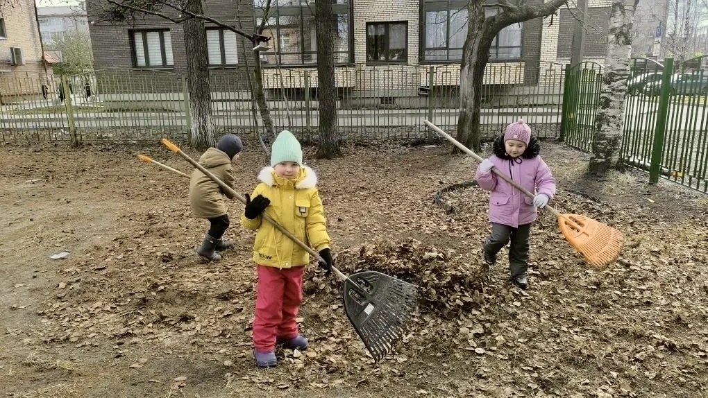 Образовательные организации города продолжают наводить чистоту Образовательные организации города продолжают наводить чистоту