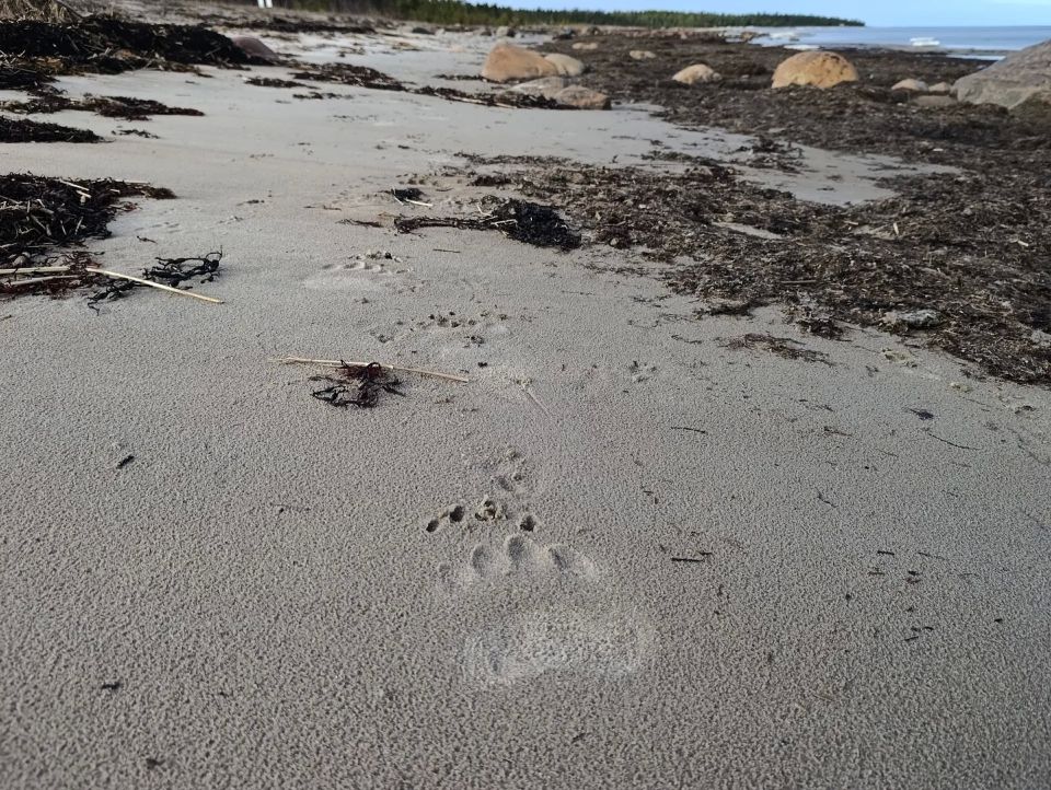 �������� ������ � ����� ������� ������ � �������� ������