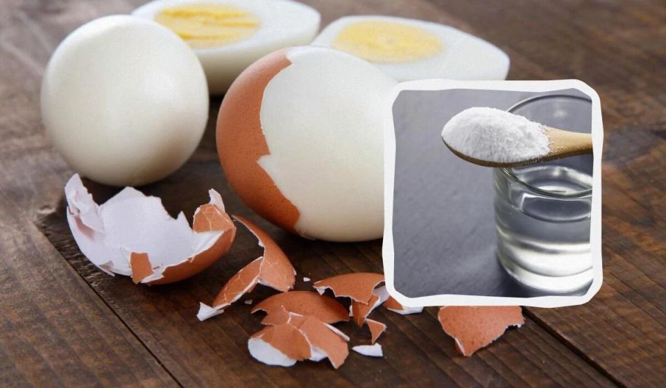 ��� ������� ���� ��������: ������� ��� ������ �������