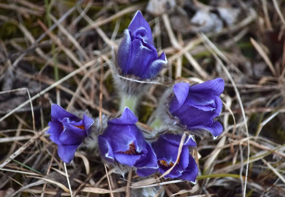 � ��������� ������ ������������� ������� ������� ���-�����