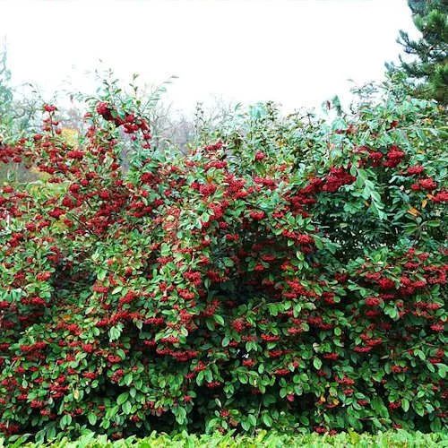 �����: �� ������ �������, � ����� ��� ������