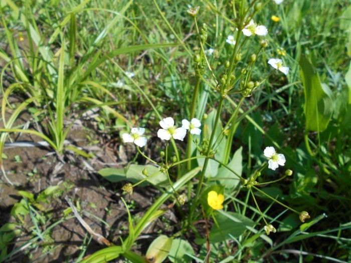 �������: ���������� �������� �������� � ������� ��� � ����