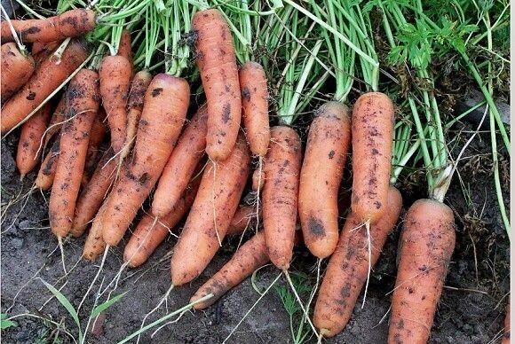 ��� ��������� �������: ������� ����� � ��������� � ����