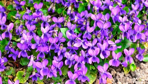 ����������� �����: ����� ����������� ����� � ����� ����