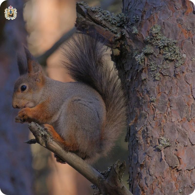 ����� � ������� ������ ���������� ����