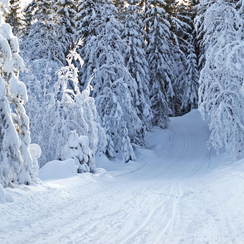 ˸� ����� � ����: ������� ������� ������� ������ �������