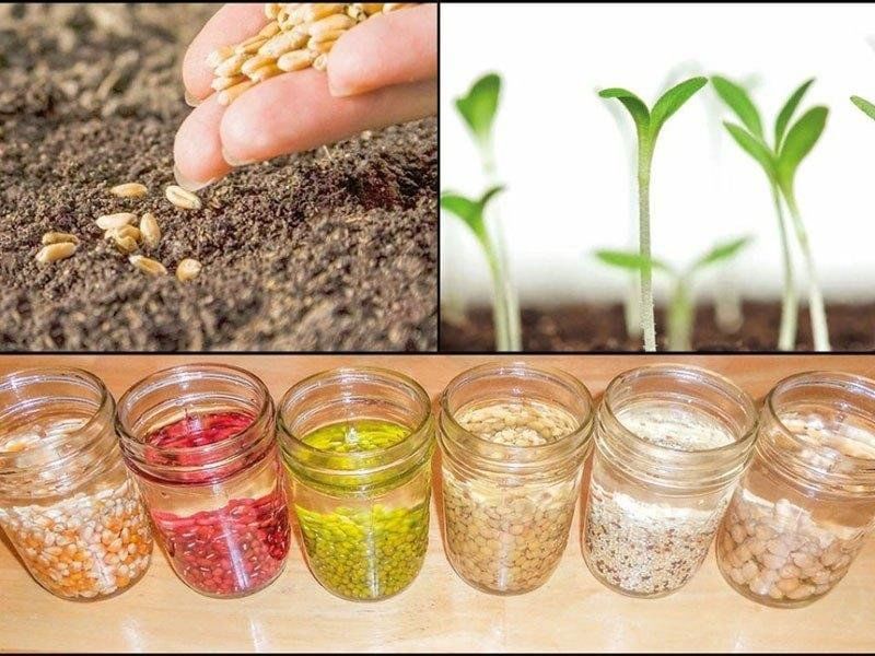 ���������� ����� � �����: ������� ��������� ������