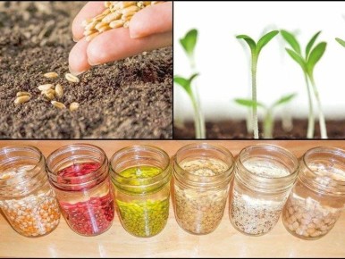 ���������� ����� � �����: ������� ��������� ������