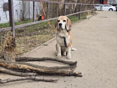 ����������, 131. "� �� ������ ����, � ����������� ���������!� - �������� ����� � ������ �����