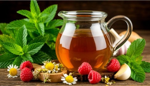 ���� ��������: �������� �������� ����