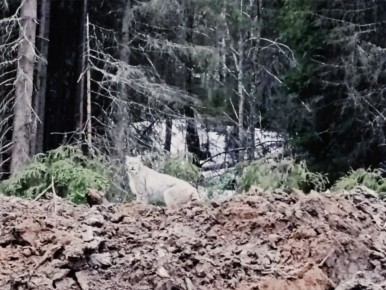 ��� ��� ����� ���������? ���� ������������ ������ ������ ����������� � �����