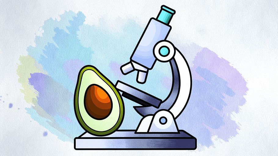 ������������� �������������: ����� ��� ����?