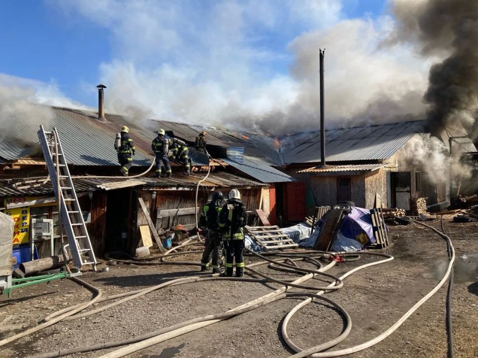 � ������������ �������� ����� � ��������� ���������� �� 3-� ����������