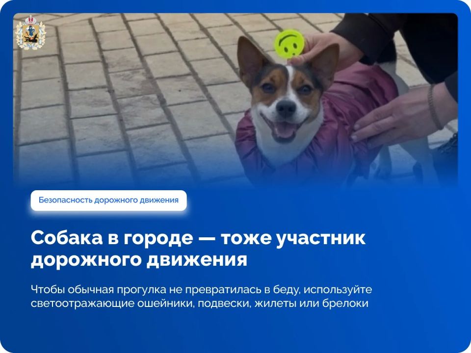 ������ � ������ � ���� �������� ��������� ��������