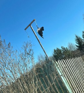 ����� ��������� �������!. ������� ���������� ������� ������� ��������� (�� �������������) ������ ������ � ������� � �������� �� ������ ���� ������, ��������� ������ ���� �������