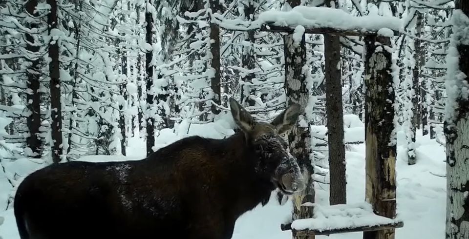 ���� � ���� �� ����� �������������� � ���������� �������� �������� �����