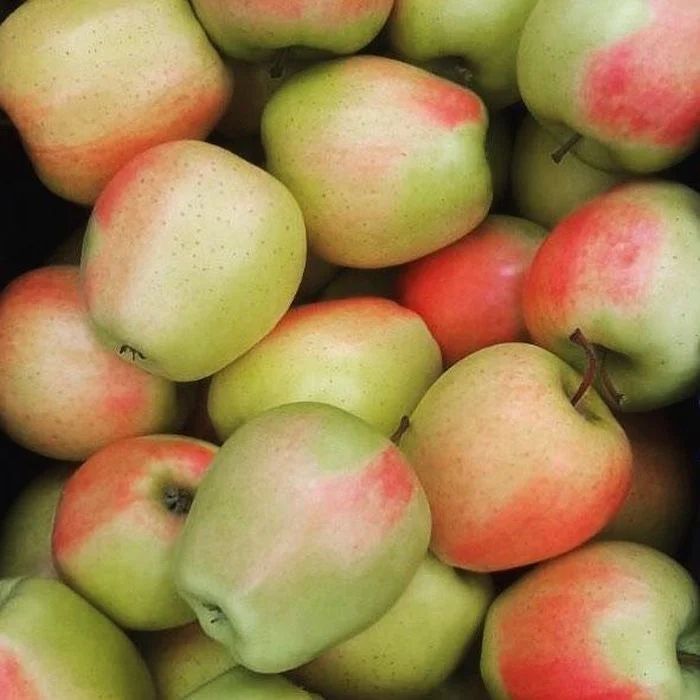 ���������� ����� ������� ��� ������ ����: �����������, ����������� � ���������