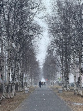 ������ ��� ������� ������� ������������: ����