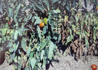 ��� ������ ������ � ����� �� ����� � �������: ��� ����������� ������