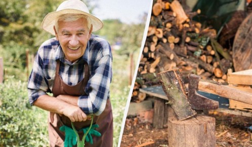 ��� ����������� ������������ ����� ����� ������� ��������: ������ ������� ��������