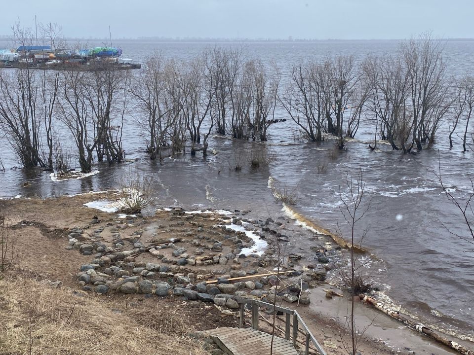 ����� ����� �� �����: ��������� �������� ������� ������ � ������������ �� ����� ������