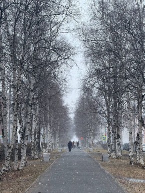 ������ ��� ������� ������� ������������: ����