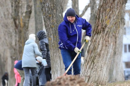 ������� ����������� ������������� � �������������� ����������