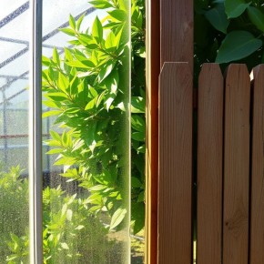 ��������� � �������: ��� �������� �������� ����� ������