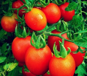 ����� ����� � ������������: ��������� ������� ��� �������� �������