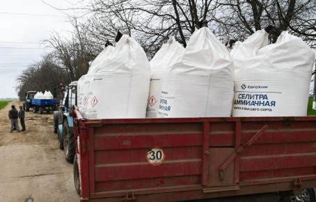 ��� ������������ ���������� ���� �� ��������� ����� ��������