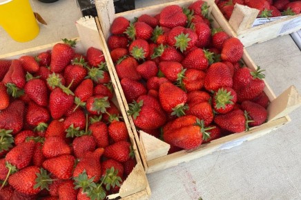 ����������� ������� �������� ������� � 1800 ������ �� 2 ��