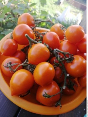 ����� ������ ������: ������������� ������������� ��� ������ � ��������� ������