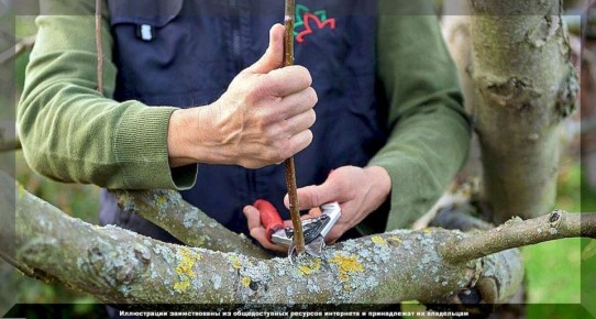 �������� ������ � ���� � �������: ��� ����� ������ �� �������