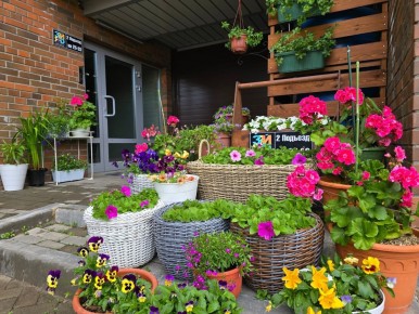 ��� ���� ������? ��������!