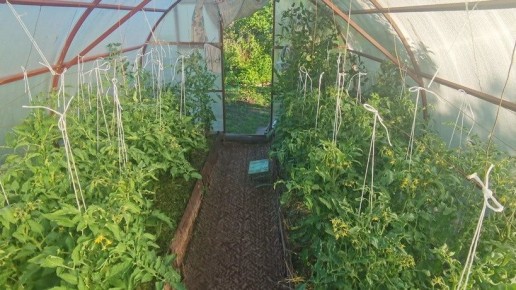 ��� ����������� �������� ������� ������ ��������� ������� �� ����