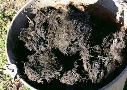 ��� ��������� ����� ����� ����� ����������� ����������: ������� ��������