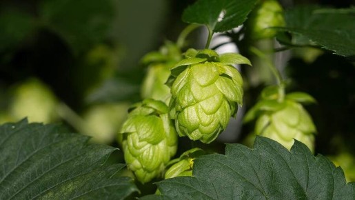 ������� �������� ������ �� ����������� ����� ��� ����� �������